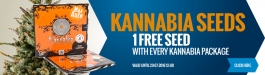 Kannabia Seeds Offer